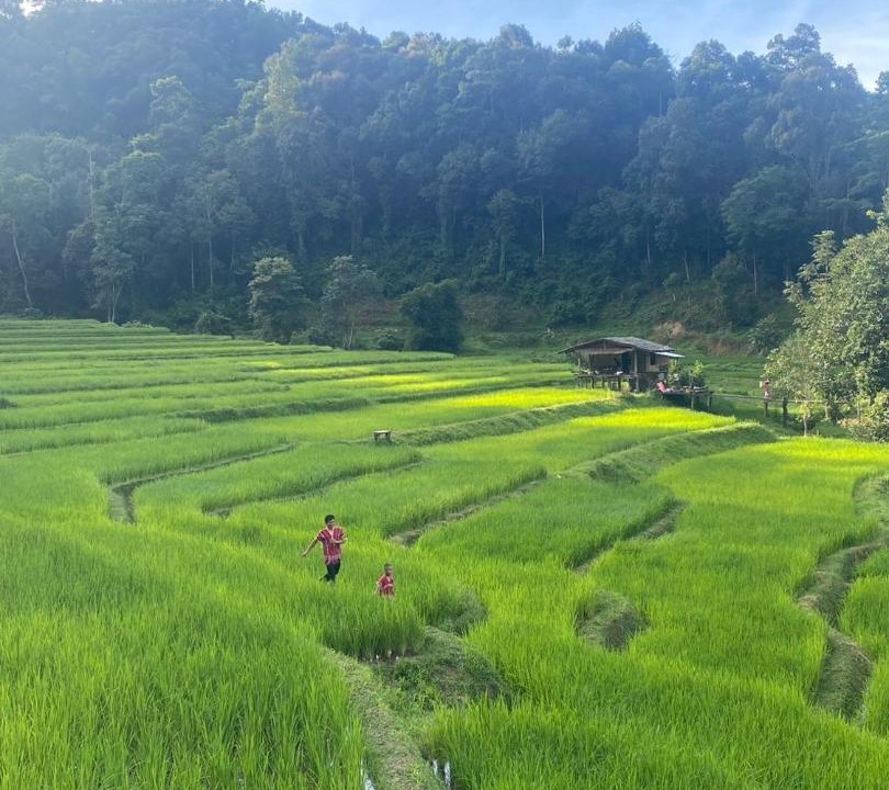 Photo of Others in Samoeng