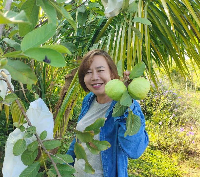 Photo of Others in Chom Thong