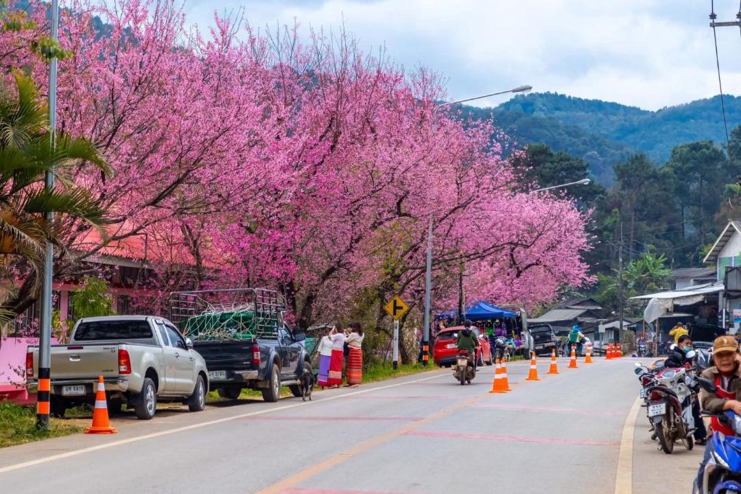 Photo of Others in Chom Thong