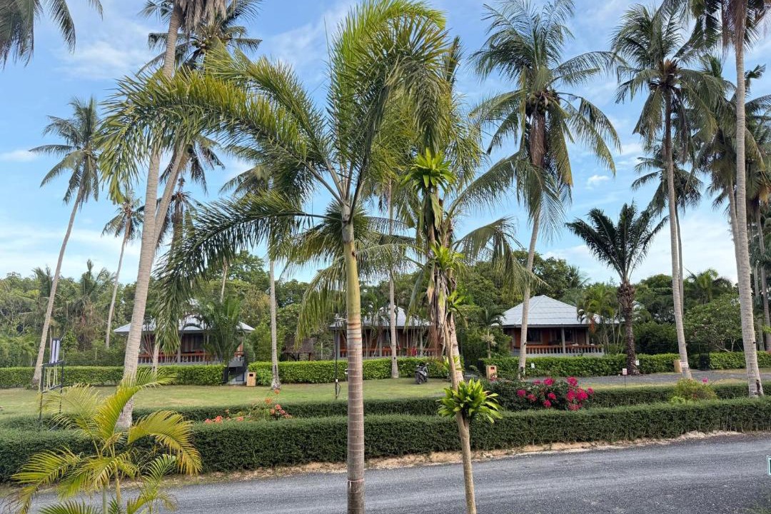 Photo of Others in Thong Sala