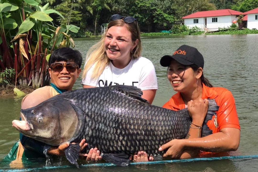 Photo of Others in Thong Krut