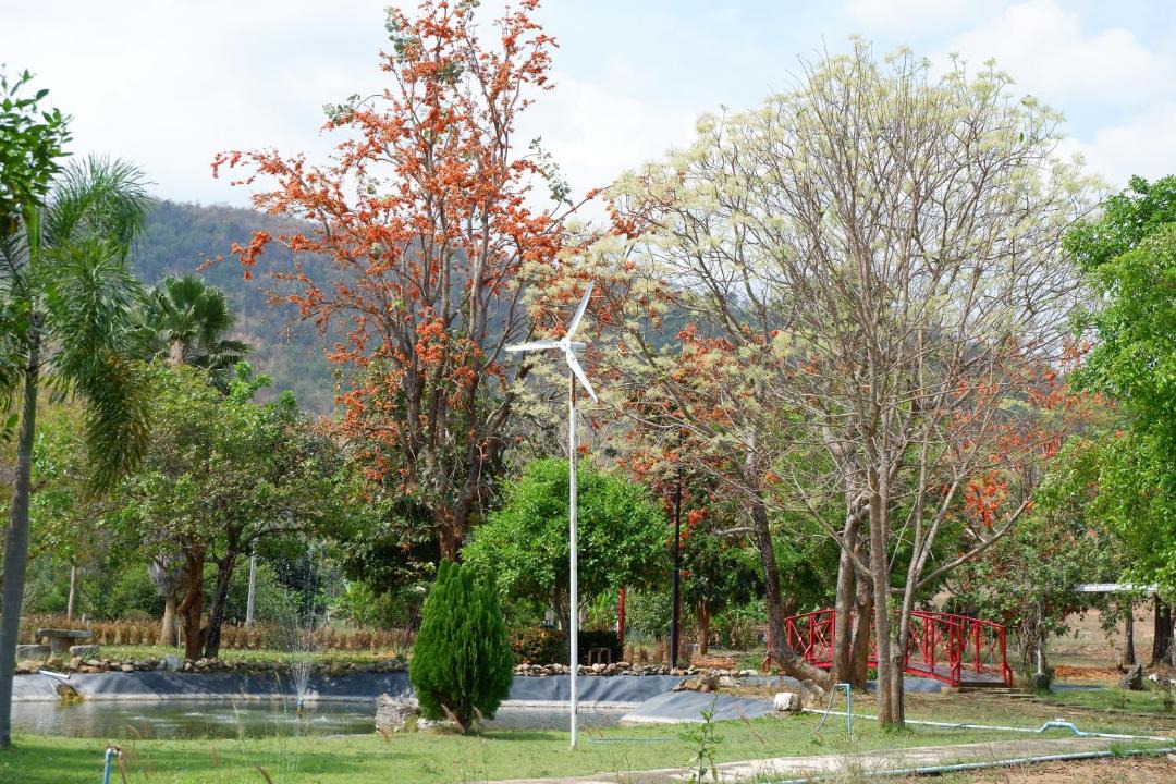 Photo of Others in Ban Rai