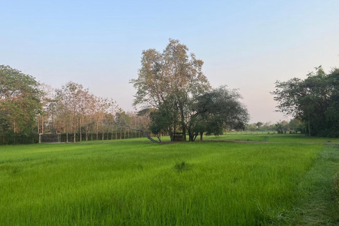 Photo of Others in Mae Pu Kha