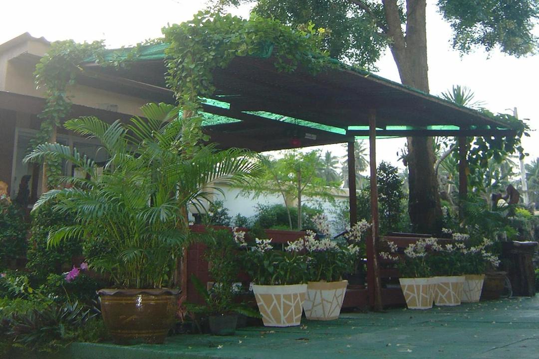 Photo of Others in Khung Nam Won