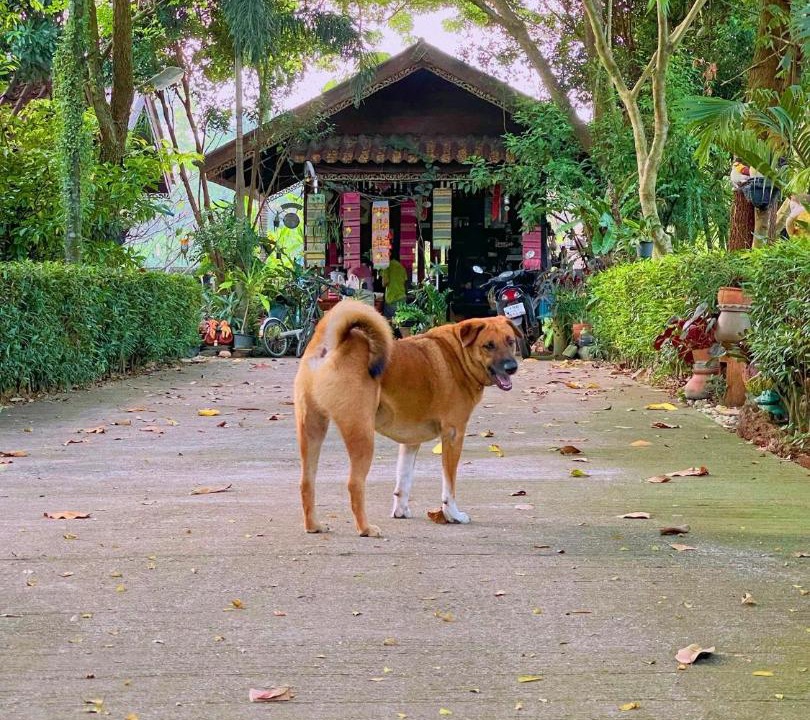 Photo of Others in Prachinburi