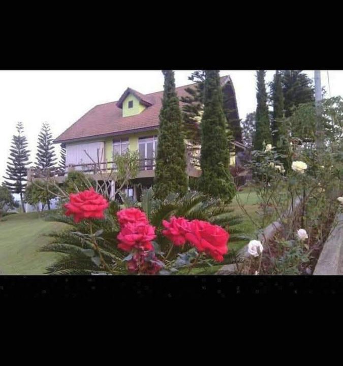 Photo of Others in Khaem Son