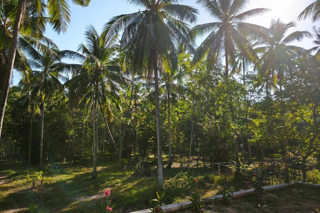 Photo of Others in Ko Yao
