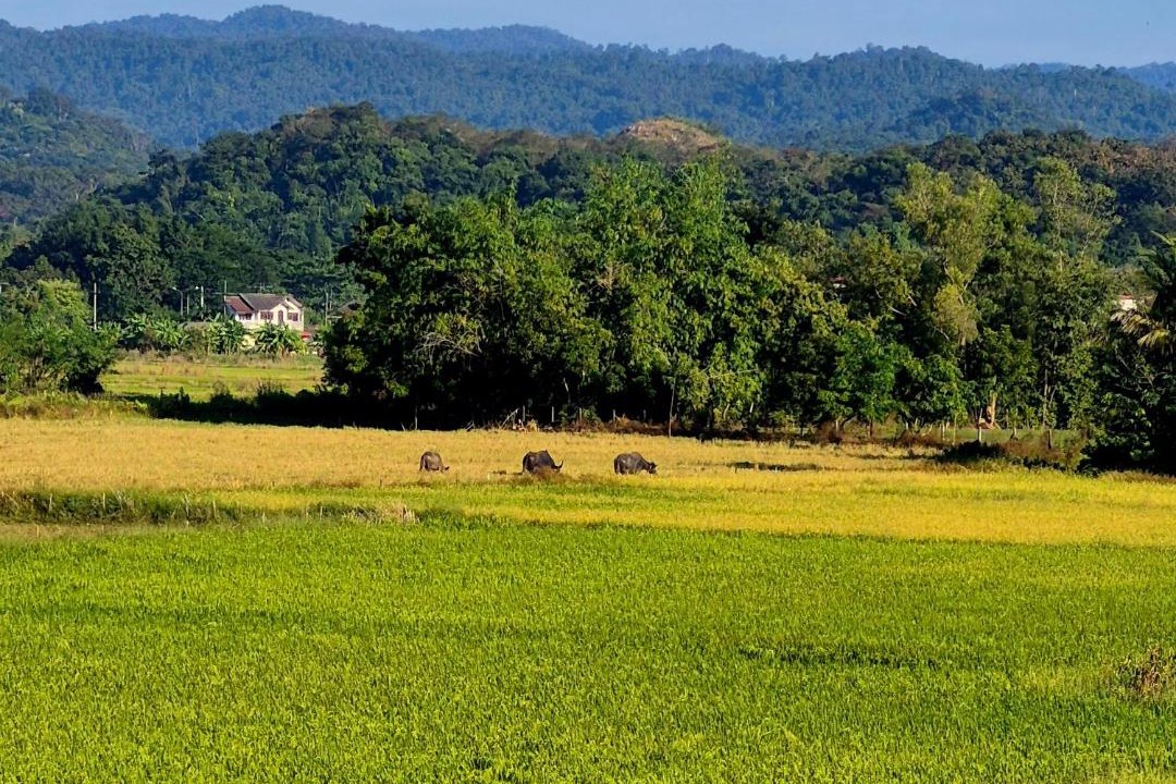 Photo of Others in Nakhon Nayok