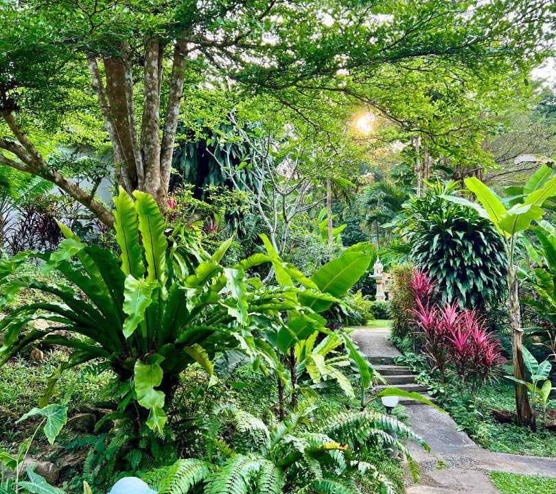 Photo of Outdoor in Ko Kood