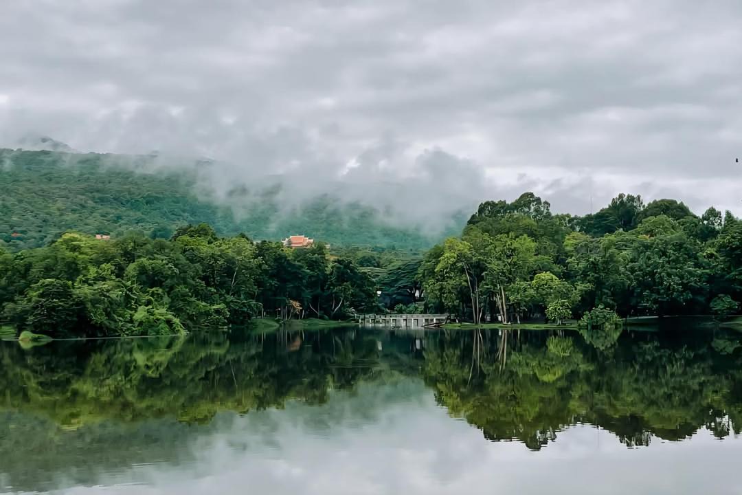 Photo of Others in Chang Phueak