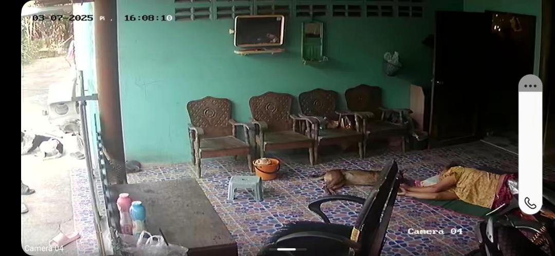 Photo of Others in Bang Prok