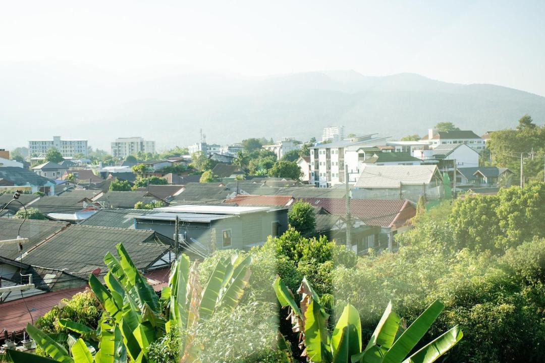 Photo of Others in Chang Phueak