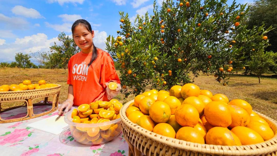 Photo of Others in Phrao