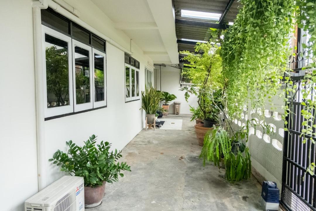 Photo of Others in Nong Chaeng