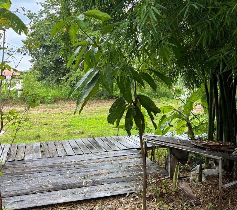 Photo of Others in Nong Han