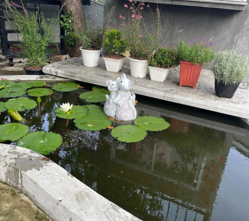 Photo of Others in Nong Chaeng