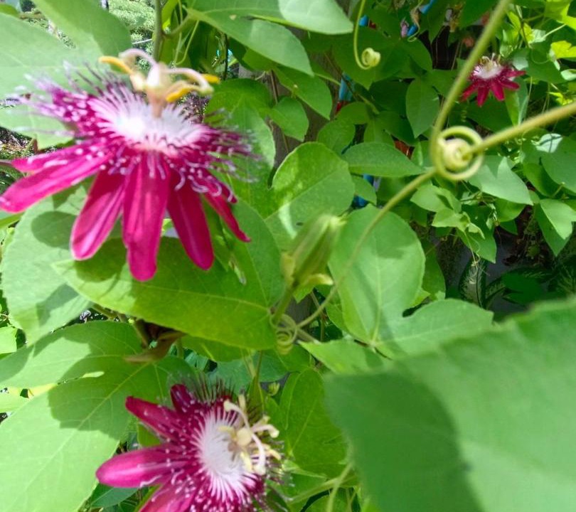 Photo of Outdoor in Thani