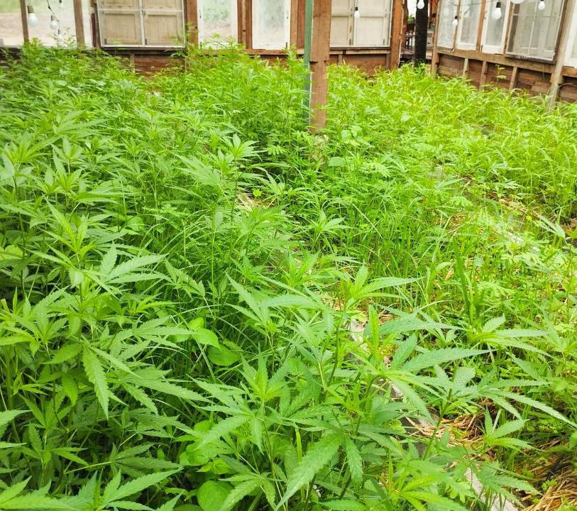 Photo of Outdoor in Chiang Rai