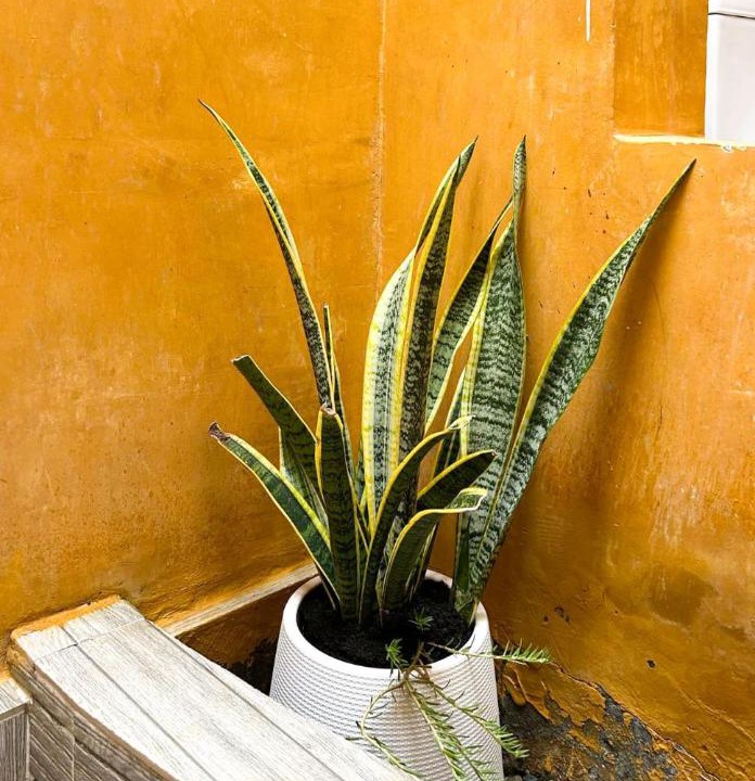 Photo of Bathroom in Ban Thalane