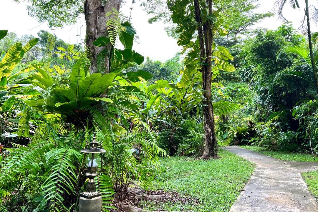 Photo of Outdoor in Ko Kood
