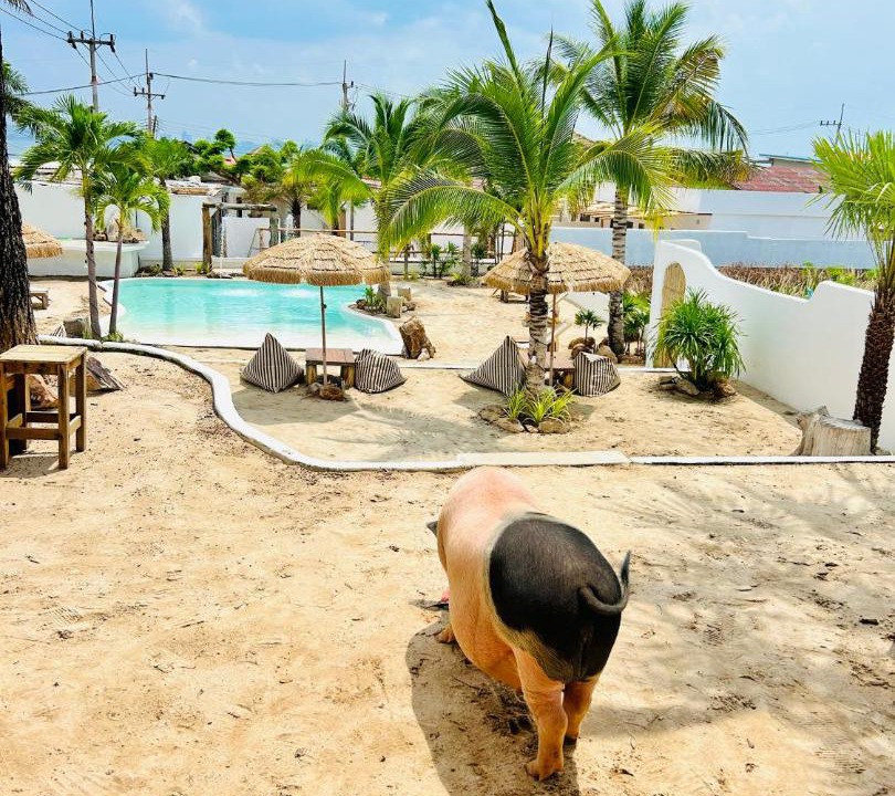 Photo of Others in Koh Lan