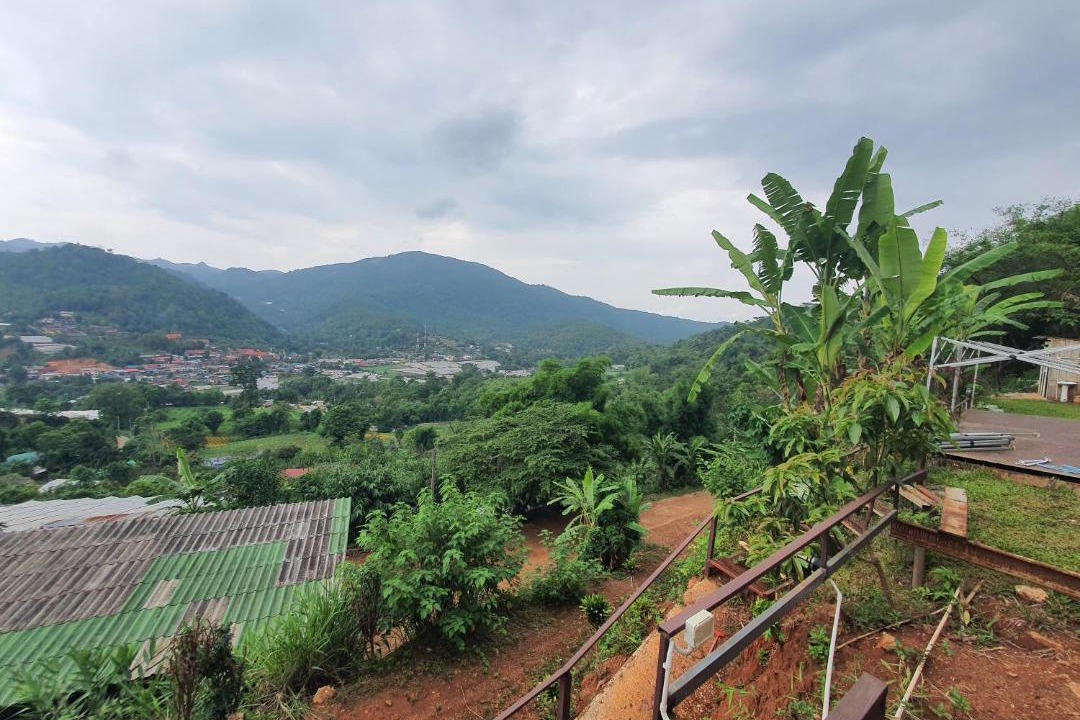 Photo of Others in Pong Yaeng