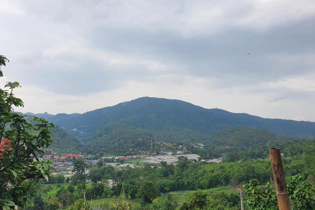 Photo of Others in Pong Yaeng