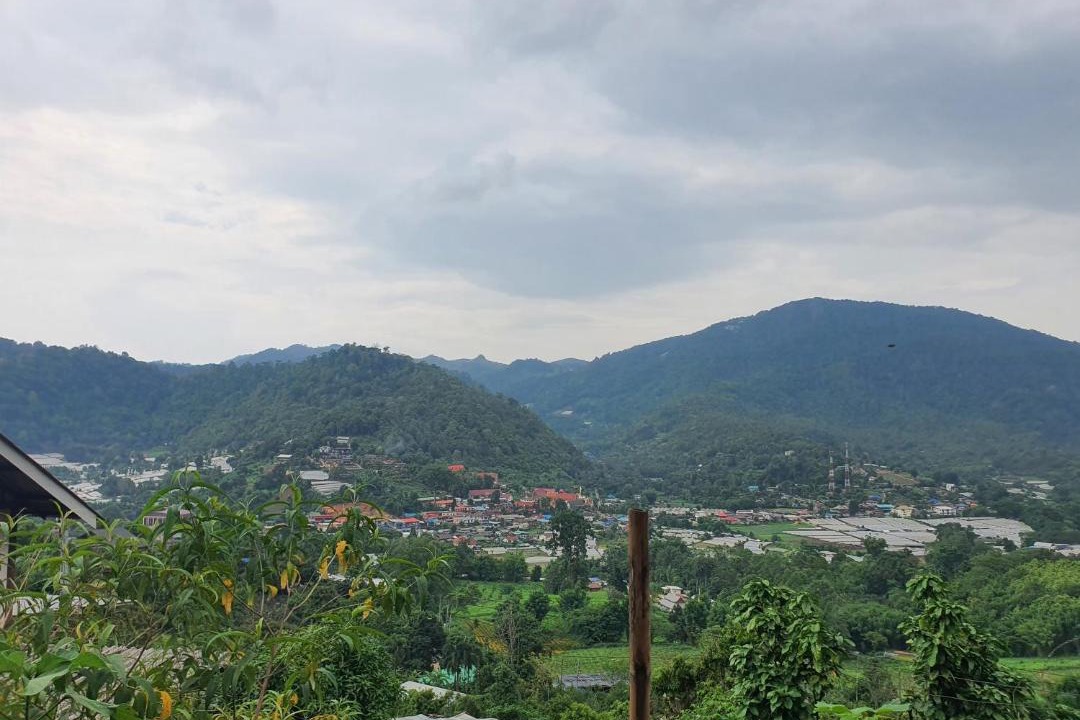 Photo of Others in Pong Yaeng