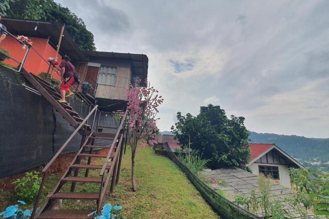 Photo of Others in Pong Yaeng