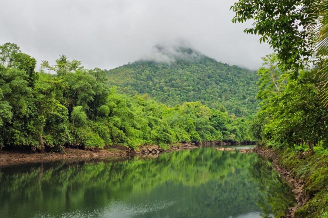 Photo of Others in Thong Pha Phum