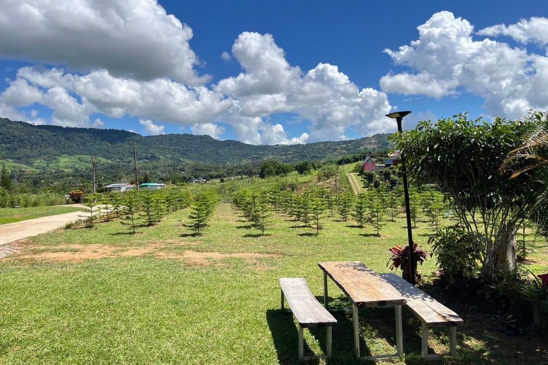 Photo of Others in Khao Kho