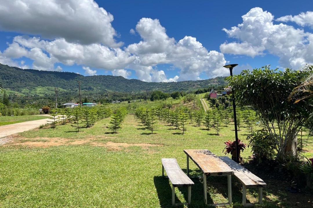Photo of Outdoor in Khao Kho