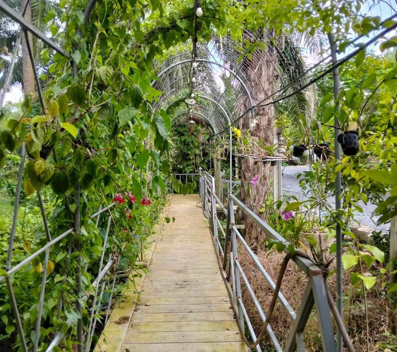 Photo of Outdoor in Ban Pa Yang