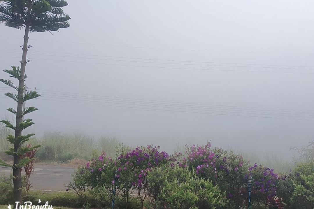 Photo of Others in Khao Kho