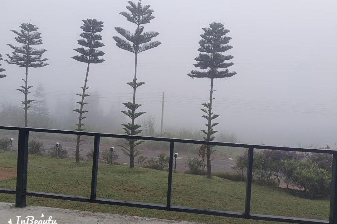 Photo of Others in Khao Kho
