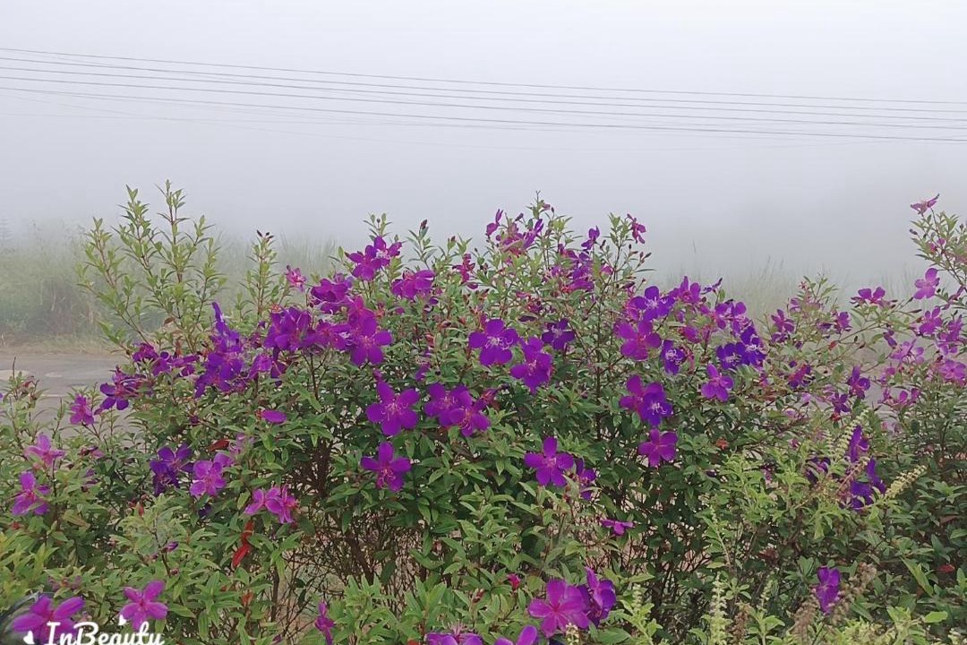 Photo of Others in Khao Kho