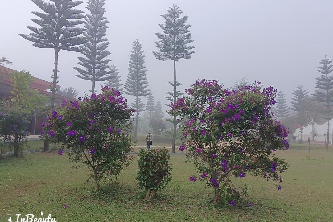 Photo of Others in Khao Kho