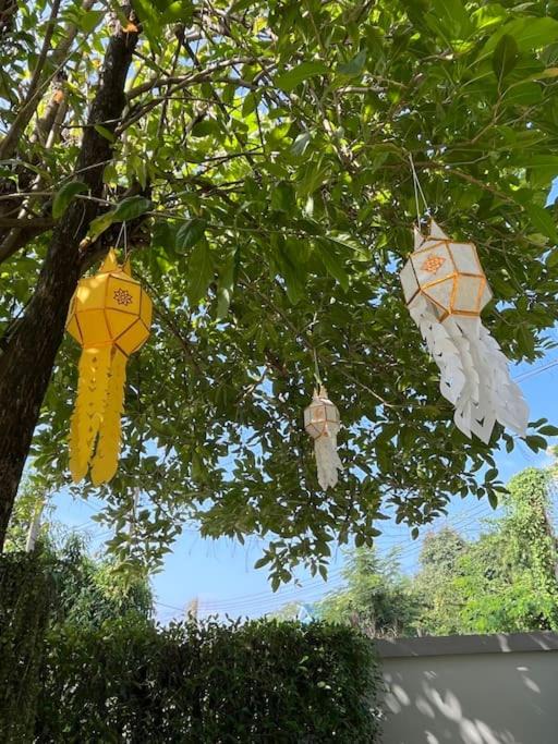 Photo of Outdoor in San Pu Loei