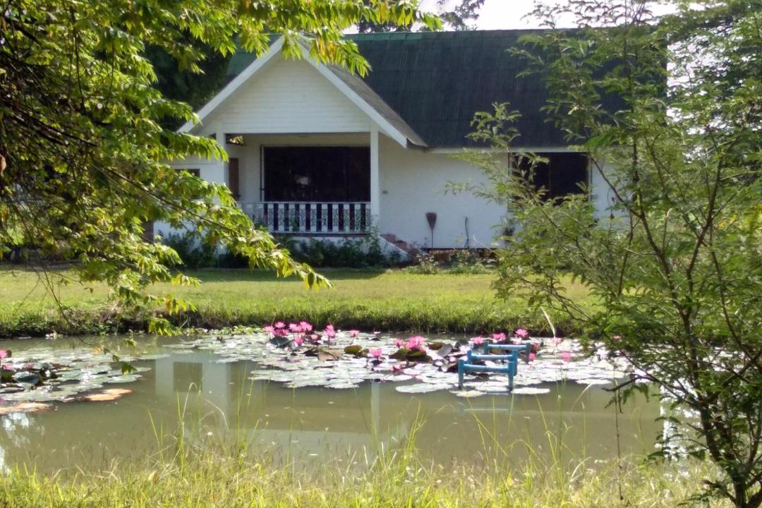 Photo of Others in Chiang Dao