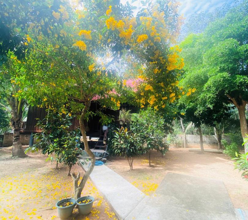 Photo of Others in Nuea Khlong