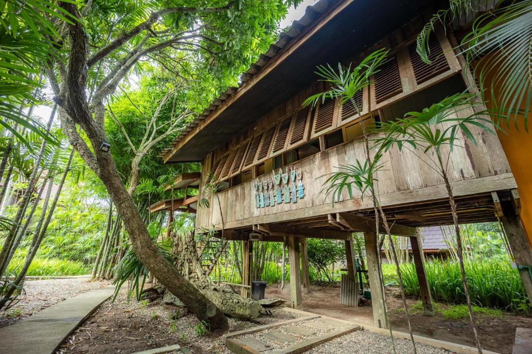 Photo of Others in Chiang Dao