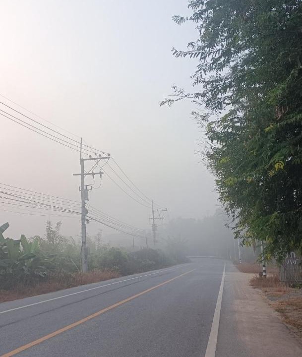 Photo of Others in Lamphun