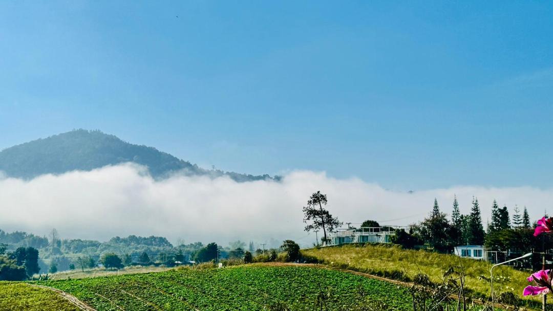 Photo of Others in Khao Kho