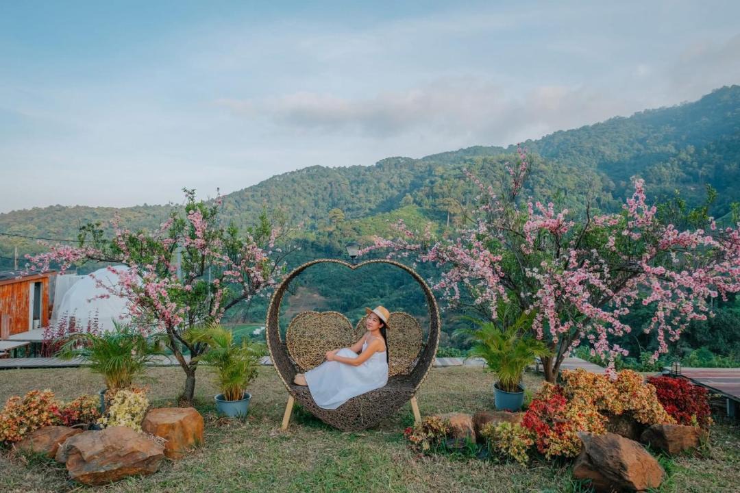 Photo of Others in Pong Yaeng