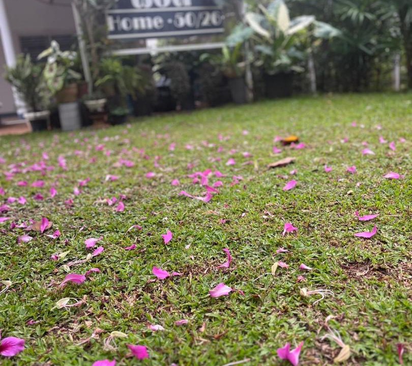 Photo of Outdoor in Thong Pha Phum