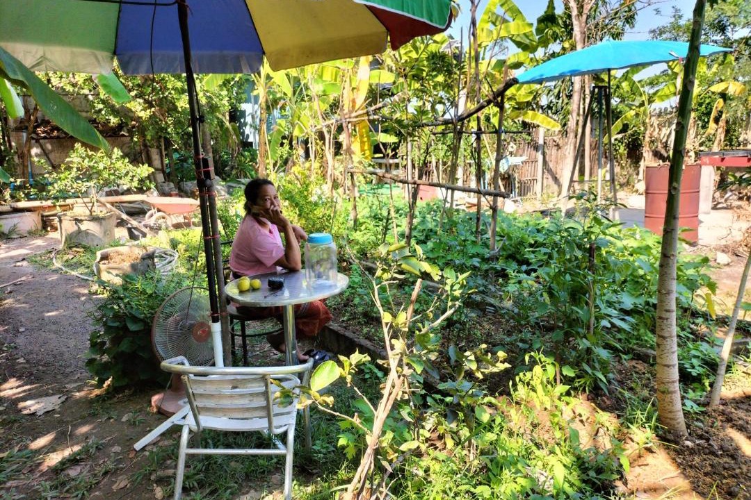 Photo of Others in Mueang Nga