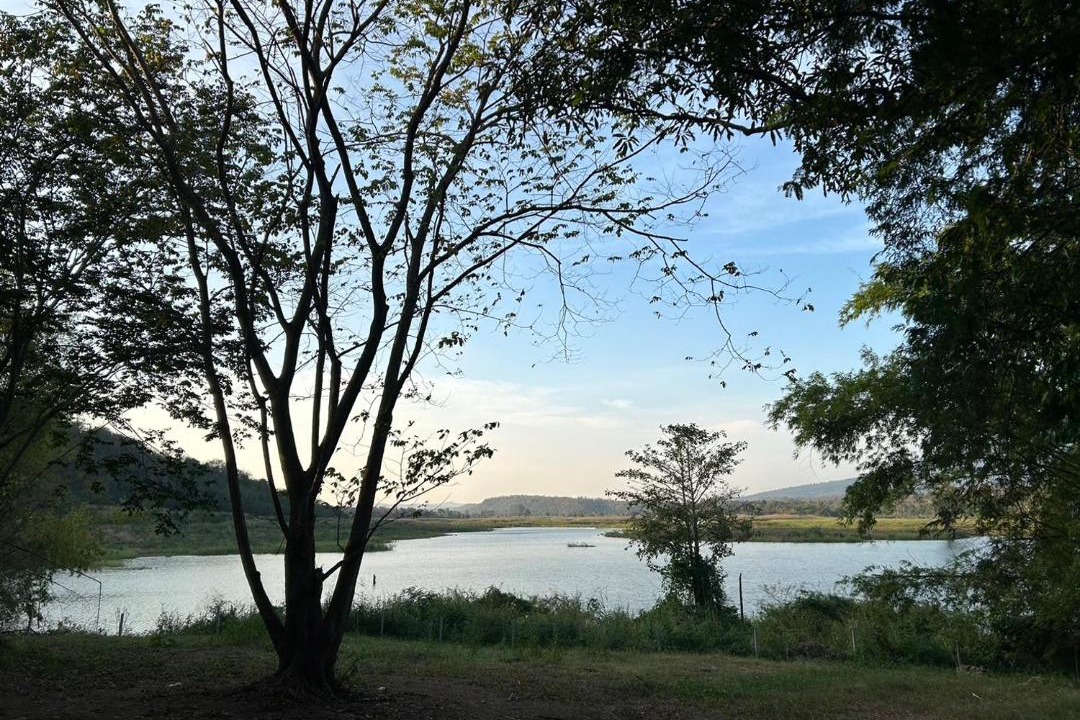 Photo of Others in Wang Nam Khiao
