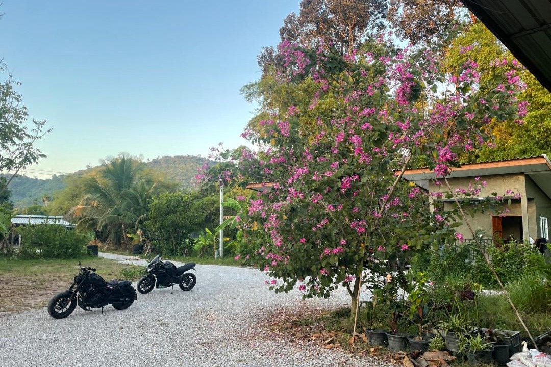 Photo of Others in Nakhon Nayok