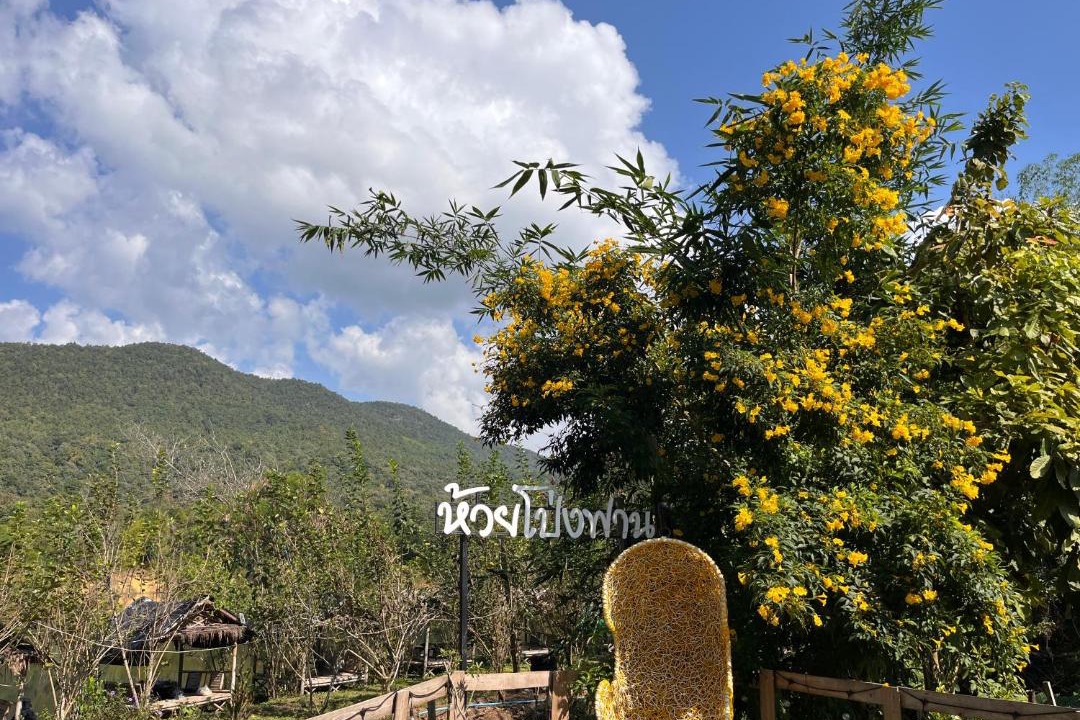 Photo of Outdoor in San Kamphaeng