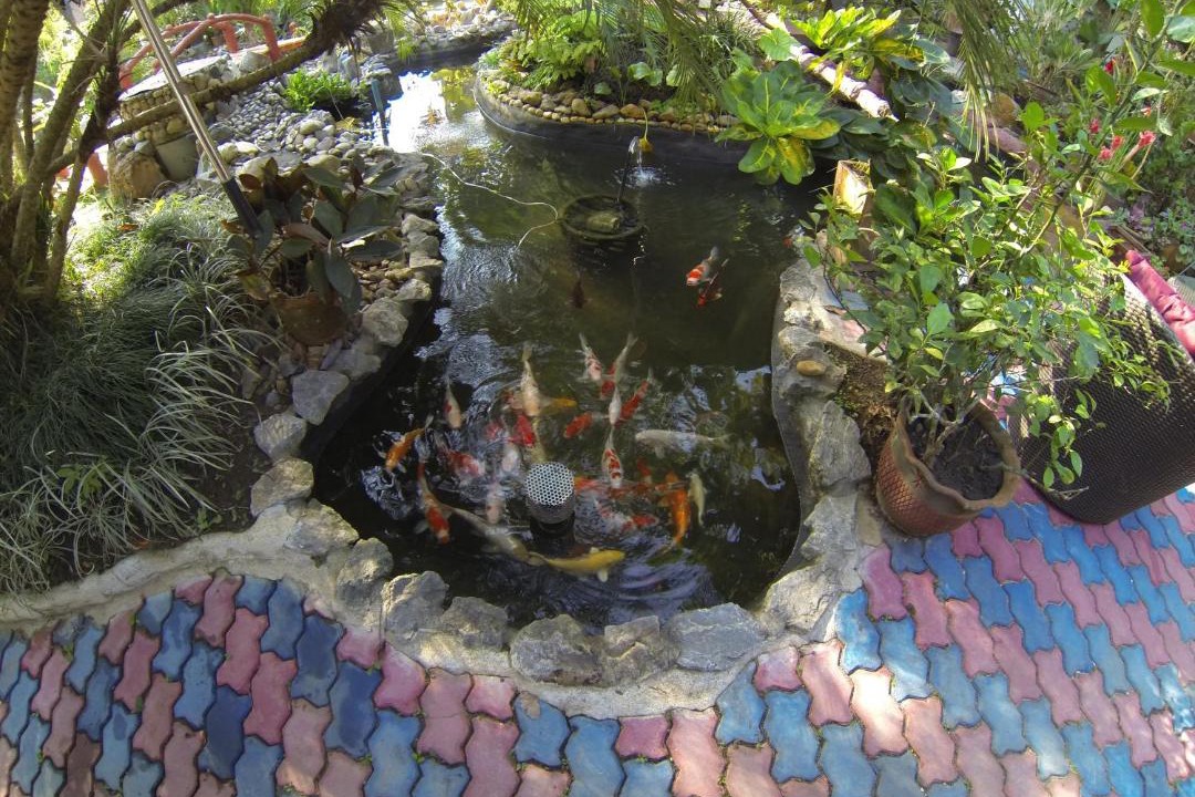 Photo of Others in Cho Lae
